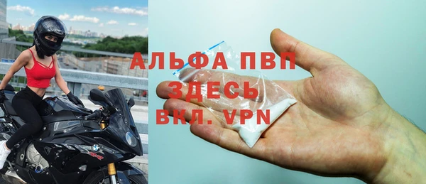 гашик Алексин