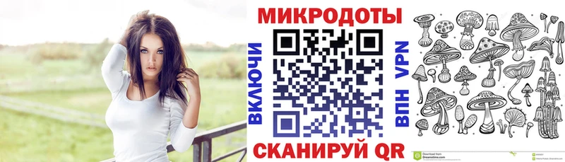Псилоцибиновые грибы ЛСД  цены   OMG ссылка  Темрюк 